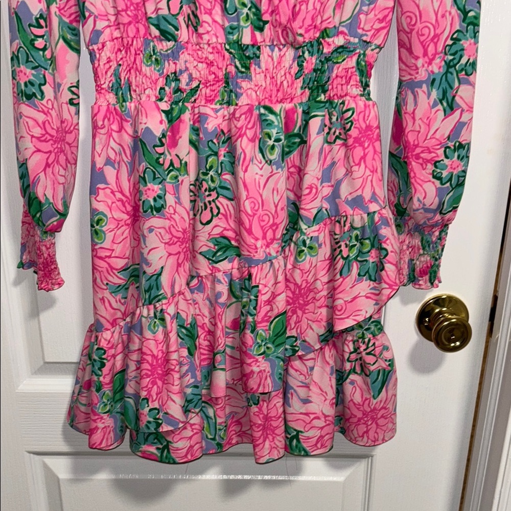 LIKE NEW! Lilly Pulitzer Cristiana Dress! - Picture 3 of 14